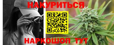 apvp Бийск