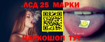 apvp Бийск
