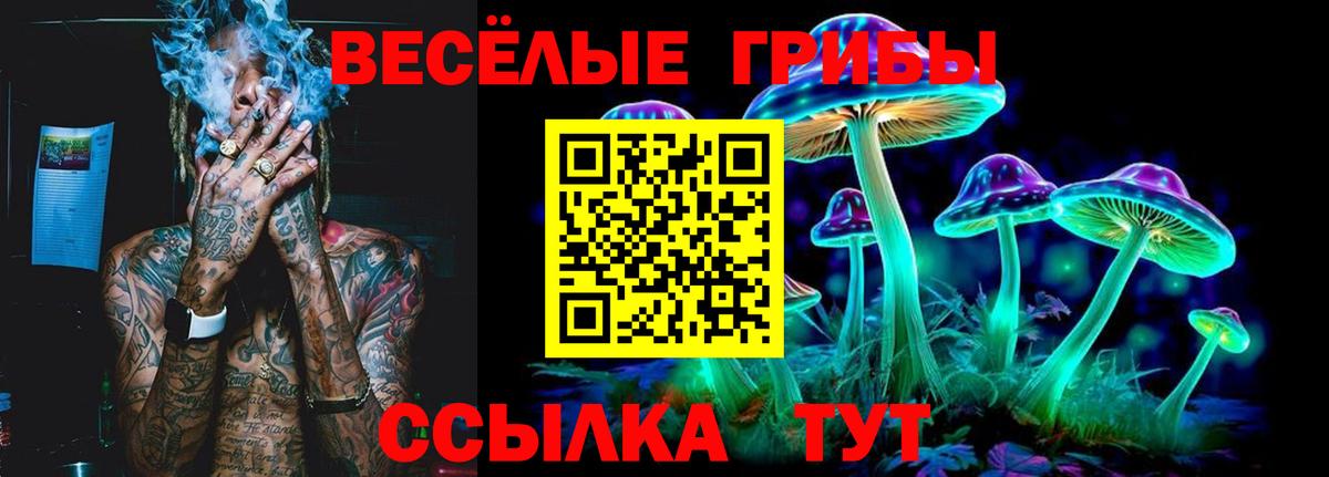 Выкса  Галлюциногенные грибы MAGIC MUSHROOMS  Вход с VPN 